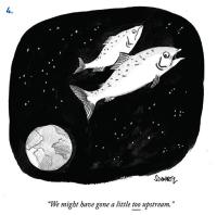 Cartoon of two fish in space, with one saying "We might have gone a little too upstream."